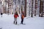 Ski- und Schneeschuhtour Fichtelgebirge/Ochsenkopf