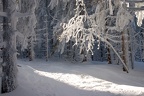 CRW_2971