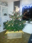 CameraZOOM-20151214211557982