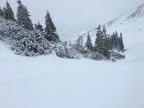 IMG_1721