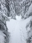IMG_1750
