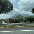 IMG 4992