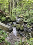 IMG 5520