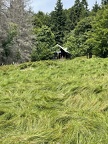 IMG 5582