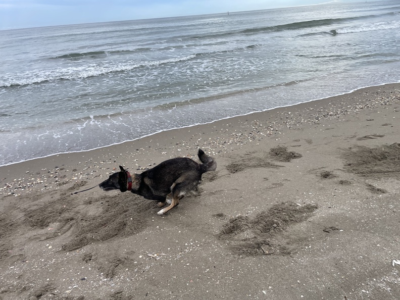 IMG_5658.jpeg
