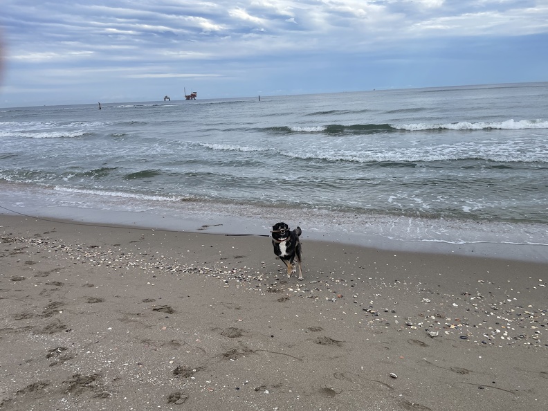 IMG_5657.jpeg