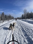 IMG 5892
