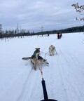 IMG 5884