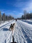 IMG 5891